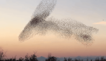 Screen Shot 2023-01-10 at 12.54.16 AM.png